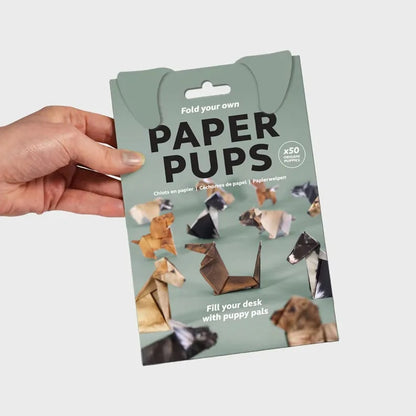 ✨Easy DIY Paper Craft Kit | Guided Lines & Instructions Included