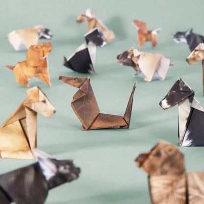 ✨Easy DIY Paper Craft Kit | Guided Lines & Instructions Included